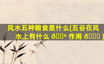 风水五种粮食是什么(五谷在风水上有什么 🐺 作用 🐒 )